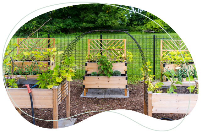 The Learning Tree’s eco-friendly garden is a testament to their sustainability commitment.