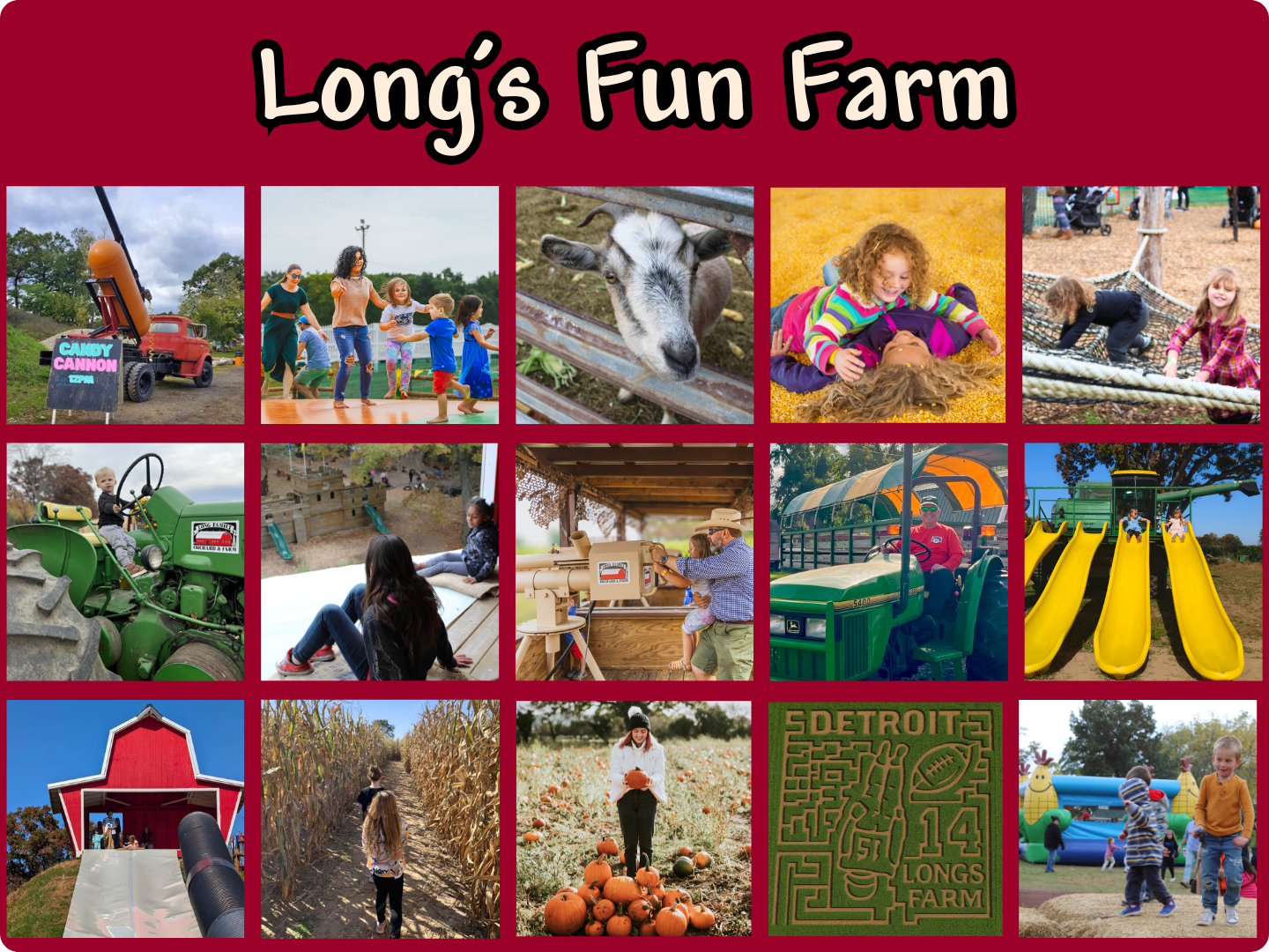 A collage of local farms, markets, and seasonal produce showcasing Livonia's local food scene.